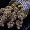 Acheter Afghani CBD