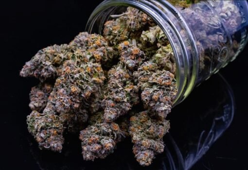 Acheter Afghani CBD