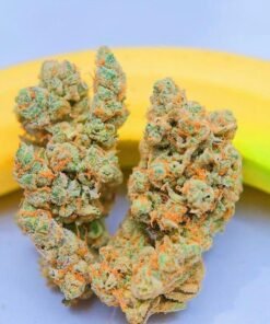 Acheter Banana Kush