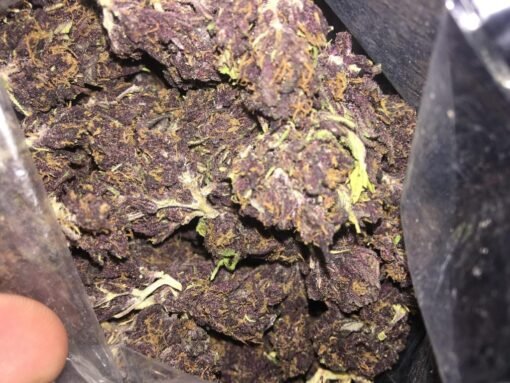 Acheter Black Cherry Soda CBD