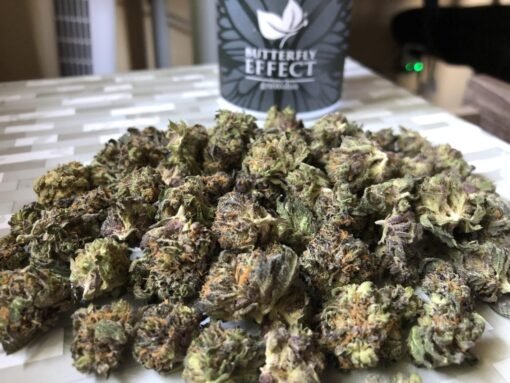 Acheter Alaskan Thunder CBD