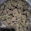 Acheter Blue Goo
