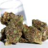 Acheter Black Widow