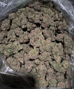 Acheter Blue Goo
