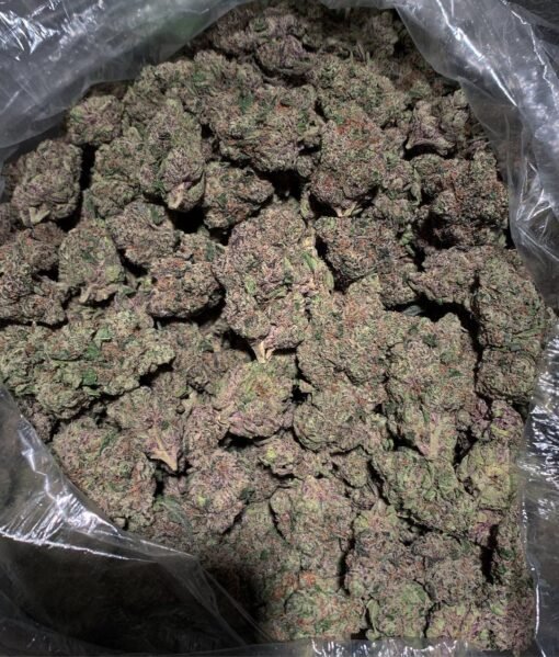 Acheter Blue Goo