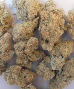Acheter Blue Dream