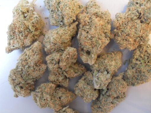 Acheter Blue Dream