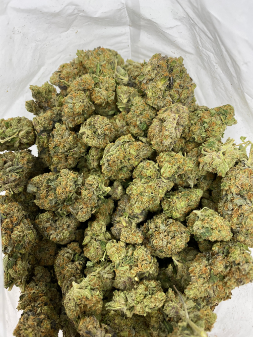 Acheter Bruce Banner