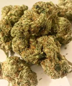 Acheter Atomic Jack
