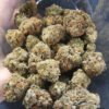 Acheter Afghan Haze