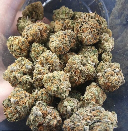 Acheter Afghan Haze