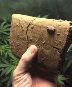 Acheter Hacher CBD