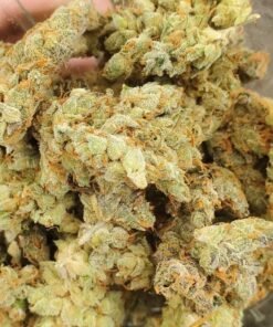 Strawberry Blue