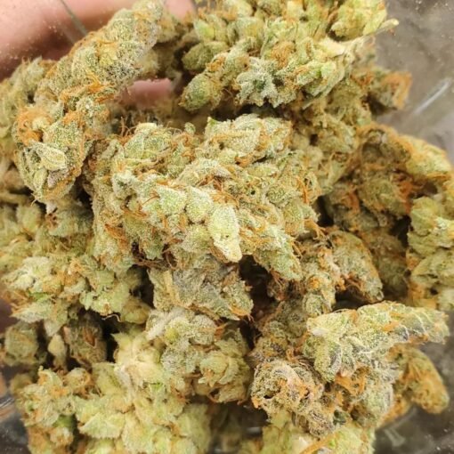 Strawberry Blue
