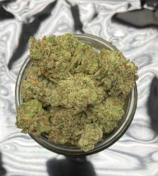 Acheter Dirty Girl en ligne