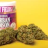Acheter Durban Poison en ligne