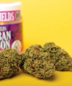 Acheter Durban Poison en ligne