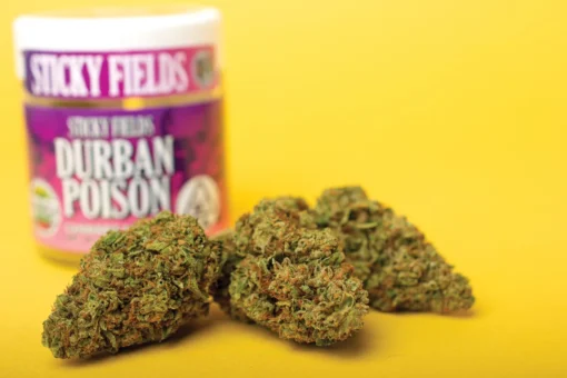 Acheter Durban Poison en ligne