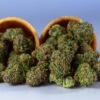 Acheter Gorilla Glue en ligne