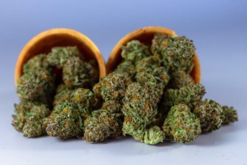 Acheter Gorilla Glue en ligne