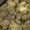 Hindu Kush