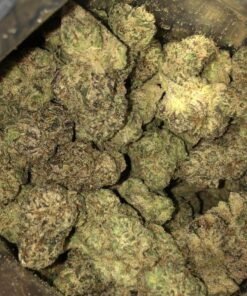 Hindu Kush