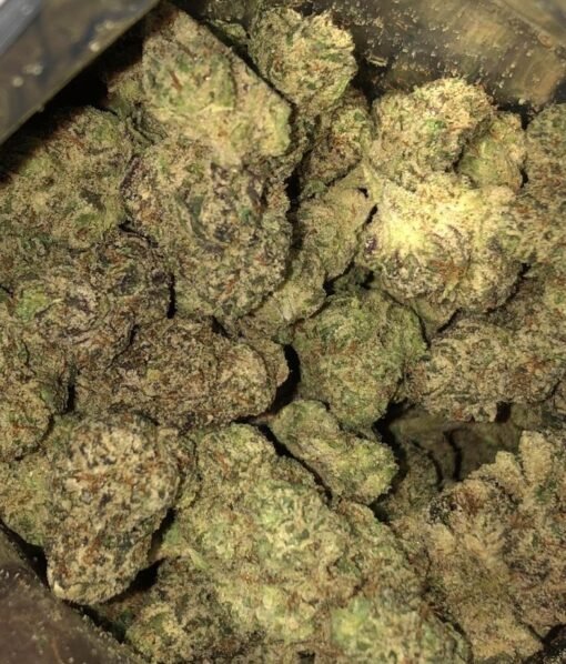 Hindu Kush