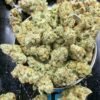 galactic jack weed
