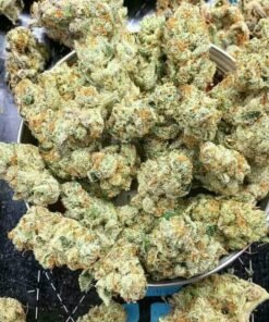 galactic jack weed