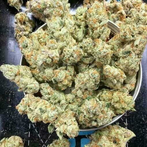 galactic jack weed