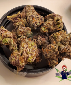 Gelato 33 Strain​