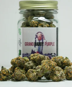 Grand Daddy Purple