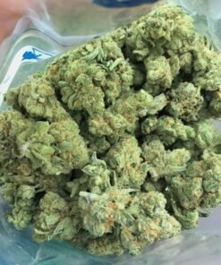 Master OG