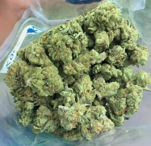 Master OG