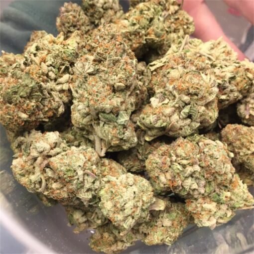 Herbe Medicine Man CBD