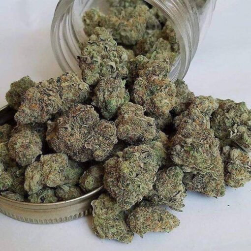 Phantom Cookies