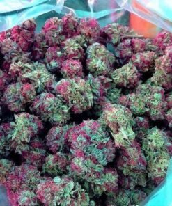 Pink Berry