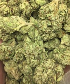 Purple Dream