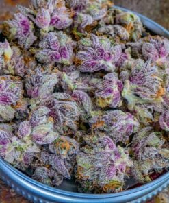Purple Kush