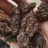 Purple OG Kush