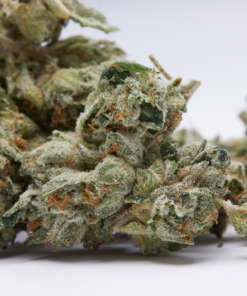White Cookies