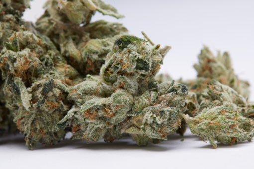 White Cookies