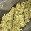 Tahoe OG Kush