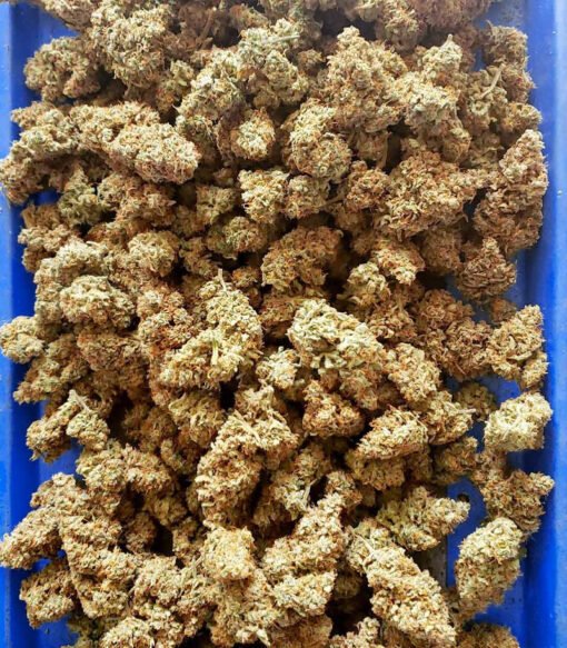 Strawberry Banana