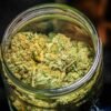 White Widow