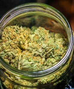 White Widow