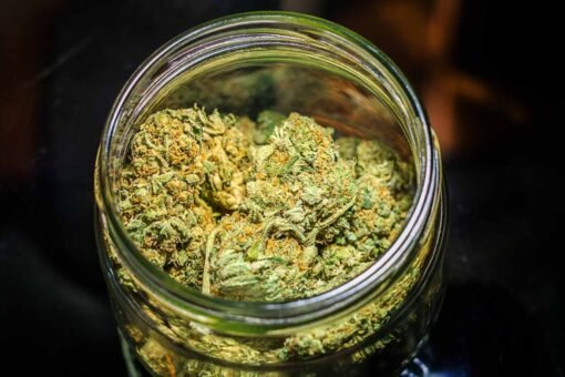 White Widow