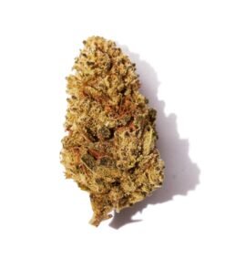 Amnesia CBD