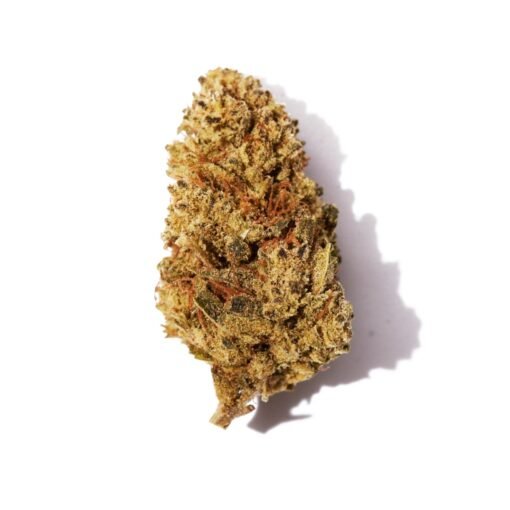 Amnesia CBD