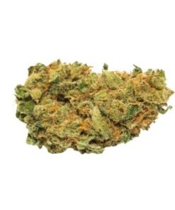 Amnesia weed